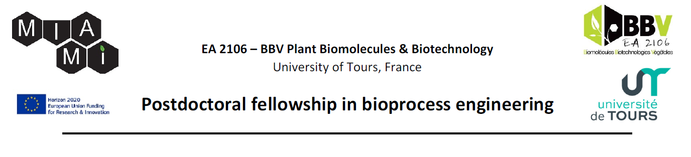 postdoc